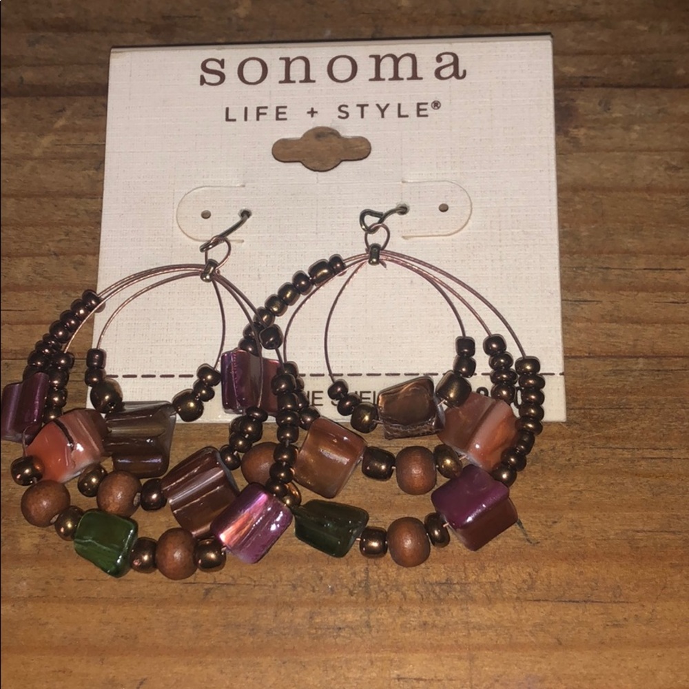 Sonoma Genuine Shell Hoops